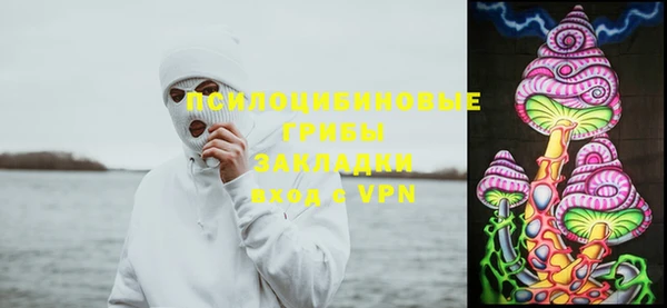 метадон Богородицк