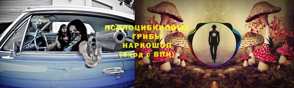 метадон Богородицк